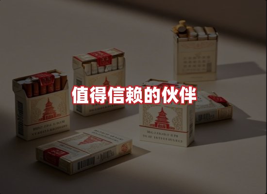 专业团队